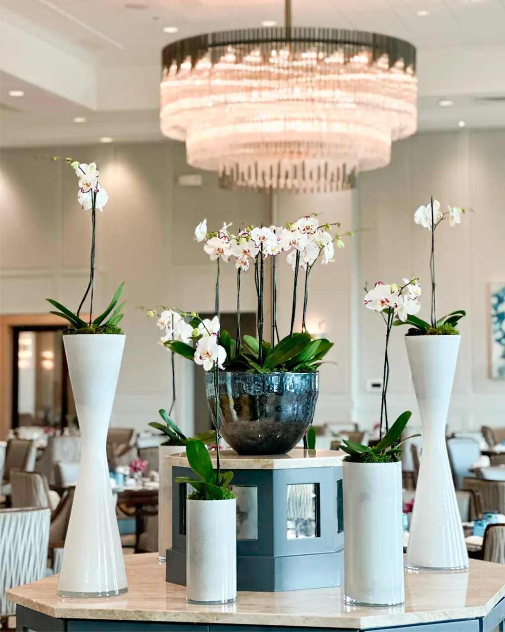Decoración vegetal en hoteles, restaurantes y clínicas