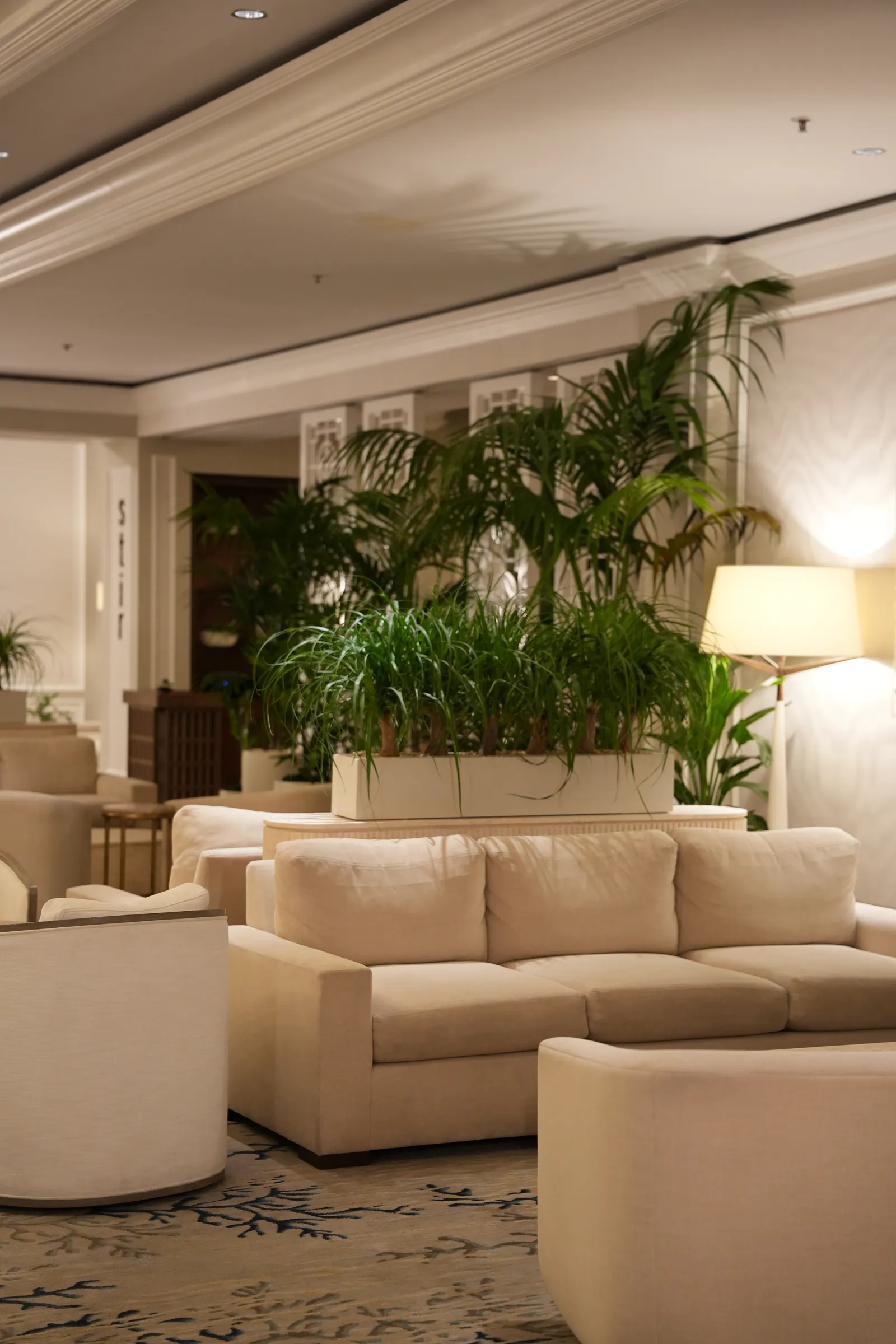 Lobby de hotel con muro de musgo