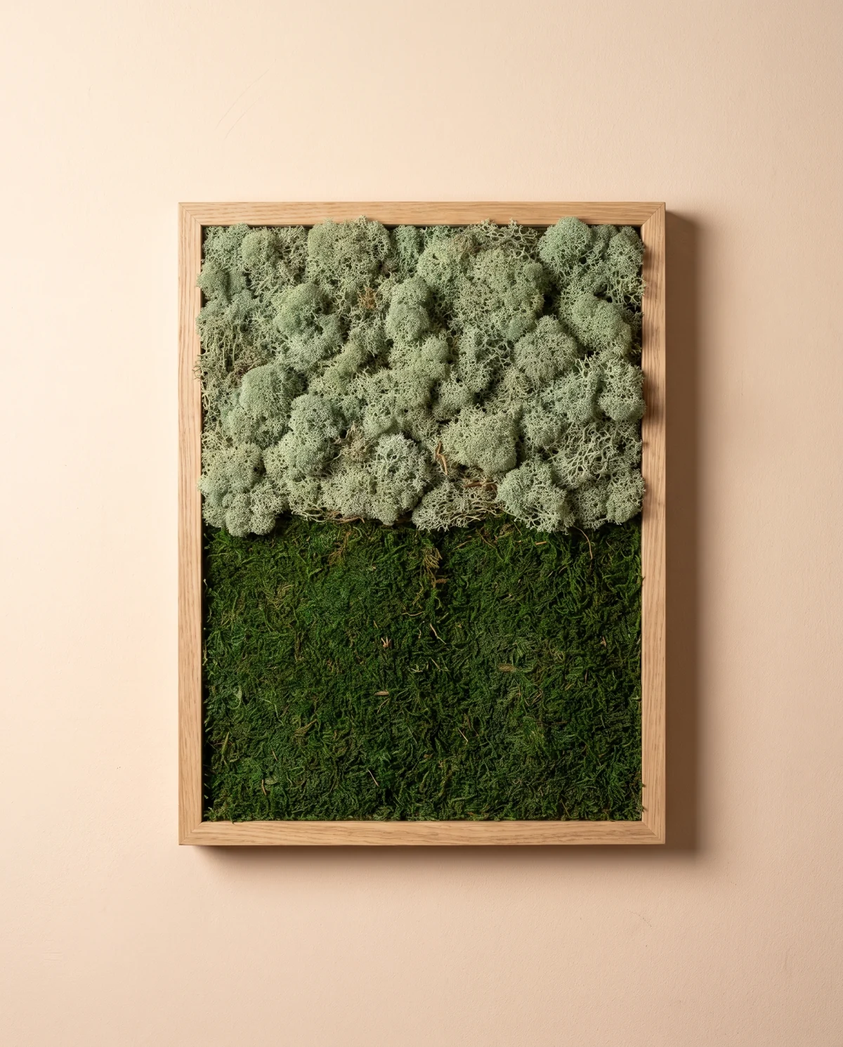 Dos campos de textura, musgo plano y liquen claro, separados por una línea horizontal.