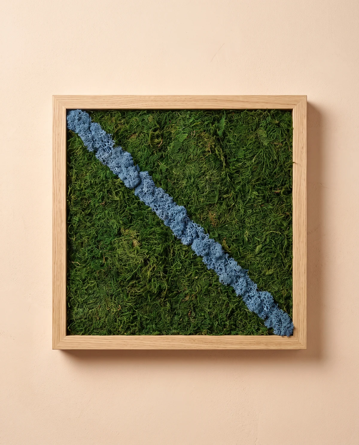 Una única franja azul de liquen cruza una base verde de musgo plano.