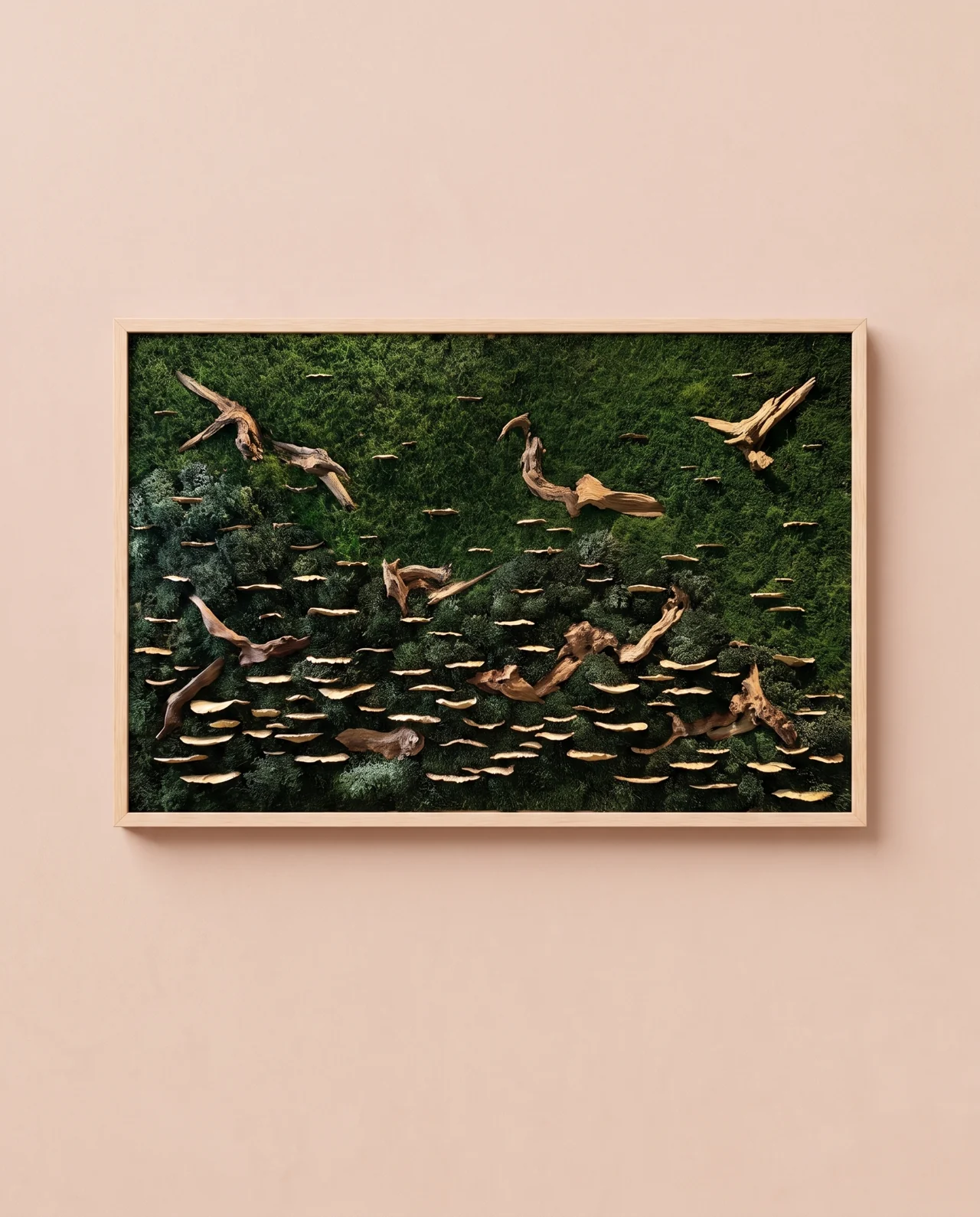Hongos de repisa y madera sinuosa se distribuyen sobre un fondo oscuro de musgo en un cuadro horizontal.