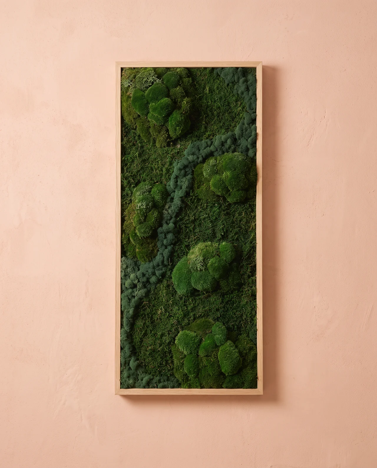 Cojines de musgo de varios tamaños forman un relieve verde oscuro con canales sinuosos dentro de un marco de madera clara.