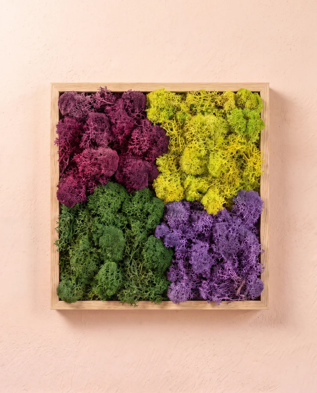Cuatro campos irregulares de liquen verde, amarillo, granate y morado forman una composición geométrica con marco de roble.