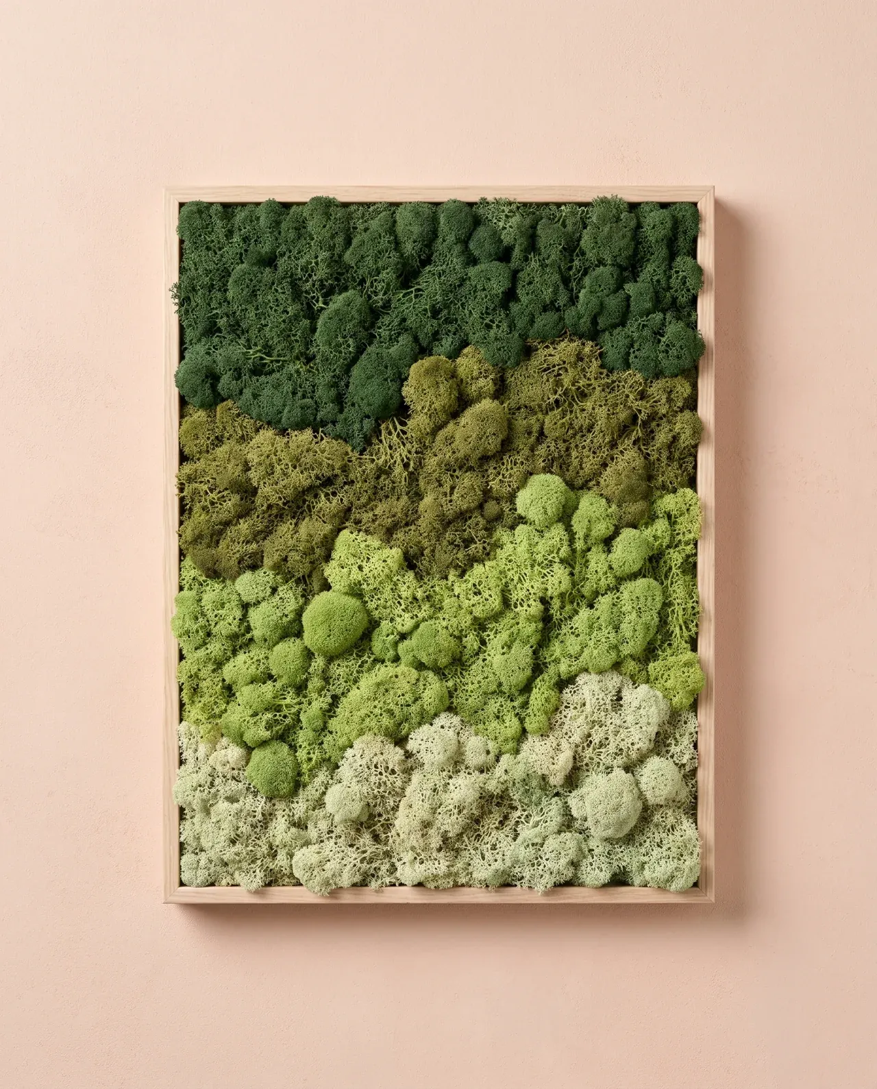 Franjas de liquen pasan del verde bosque superior al verde lima y al crema verdoso de la base.