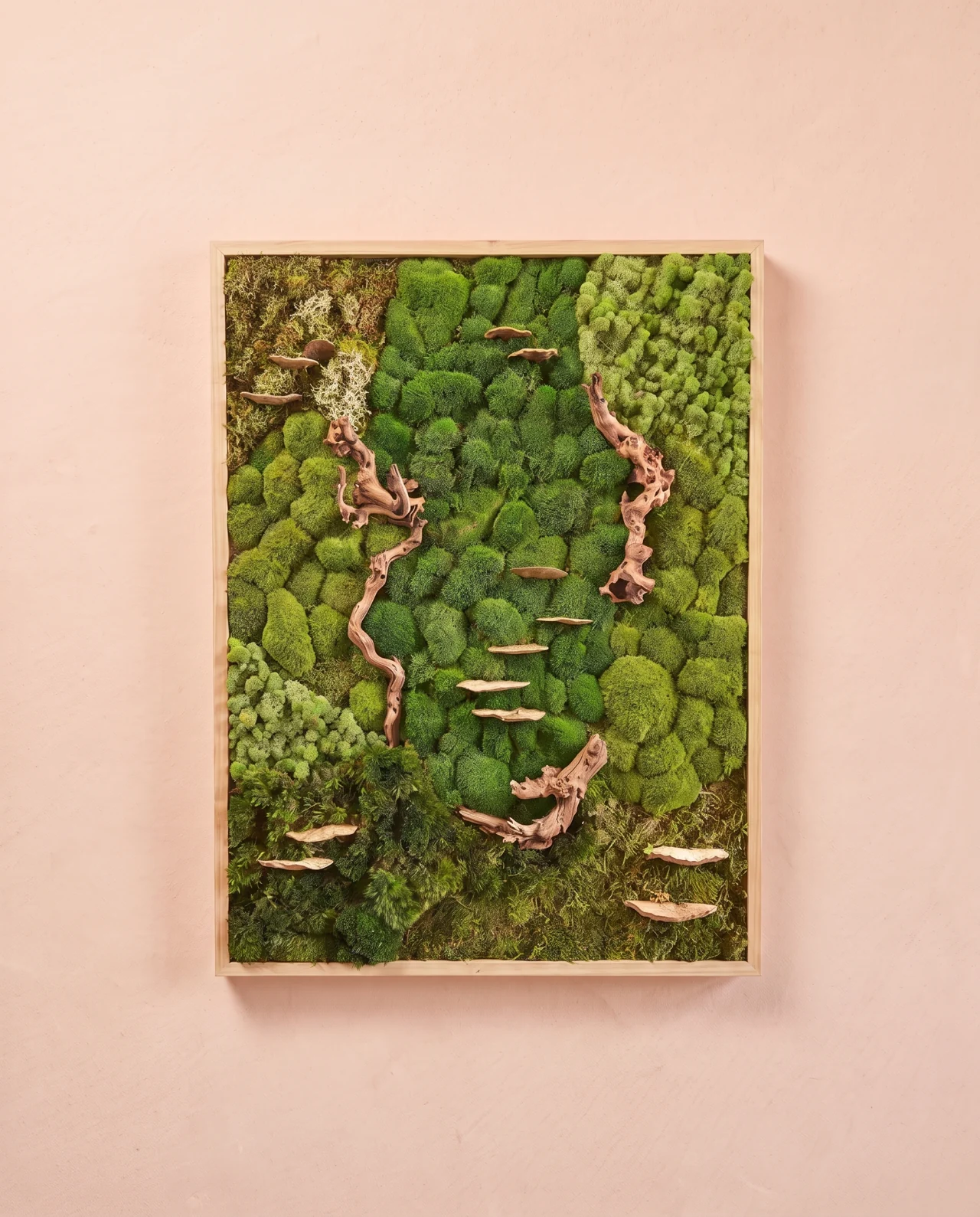 Ramas curvas y hongos de repisa atraviesan un relieve de musgo de cojín verde intenso.