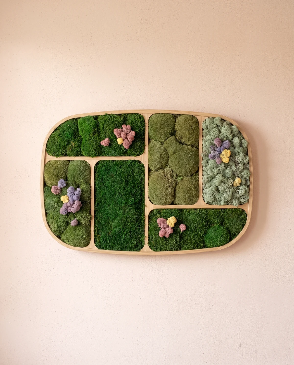 Parcelas de musgo con texturas distintas forman un jardín abierto a nuevos crecimientos.