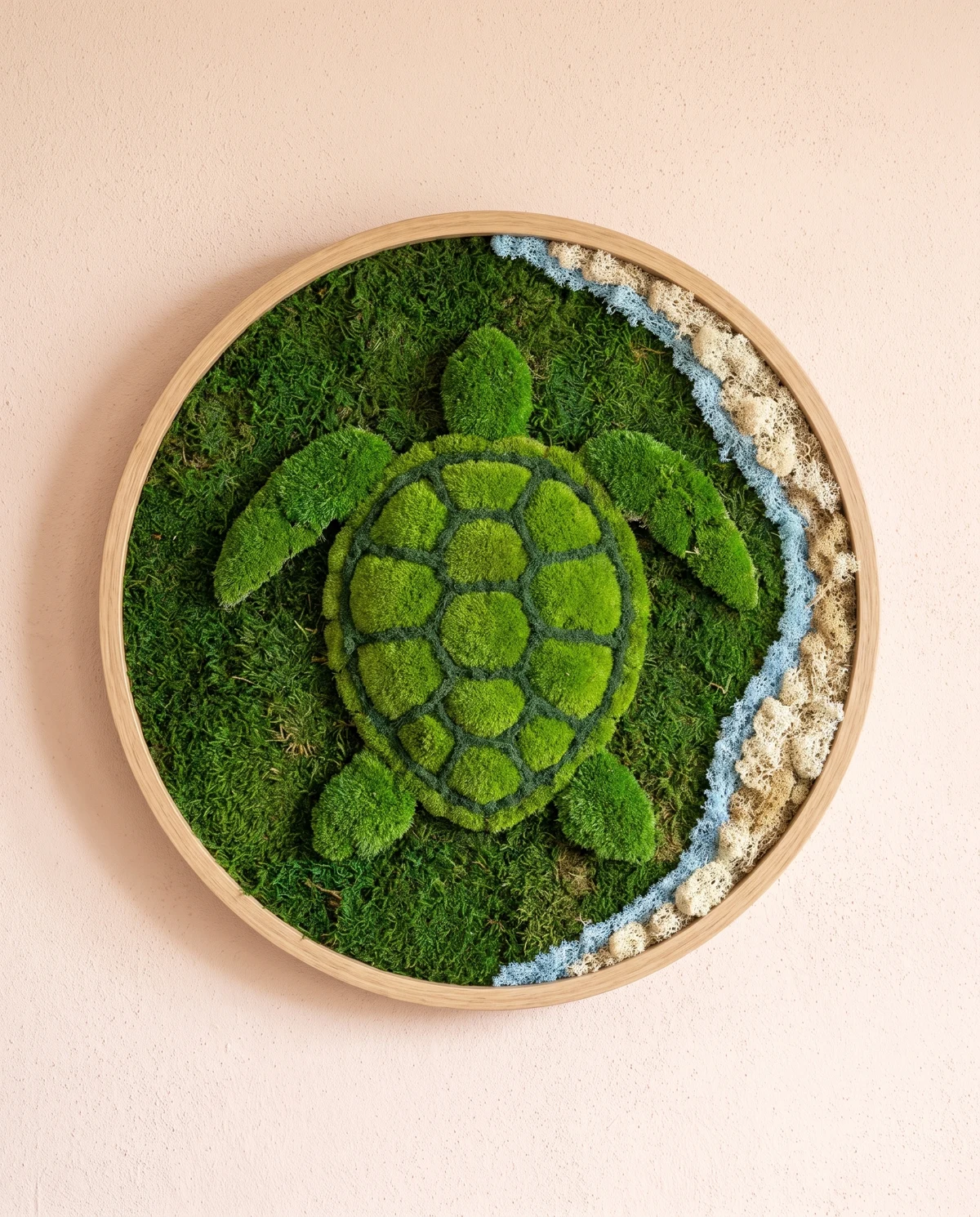 Una tortuga verde vista desde arriba descansa entre una media luna de arena clara y un borde azul de liquen.