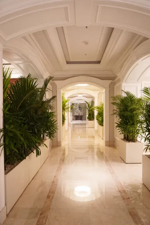 Una galería en verde. Una jardinera continua de palmeras bajo los arcos.
