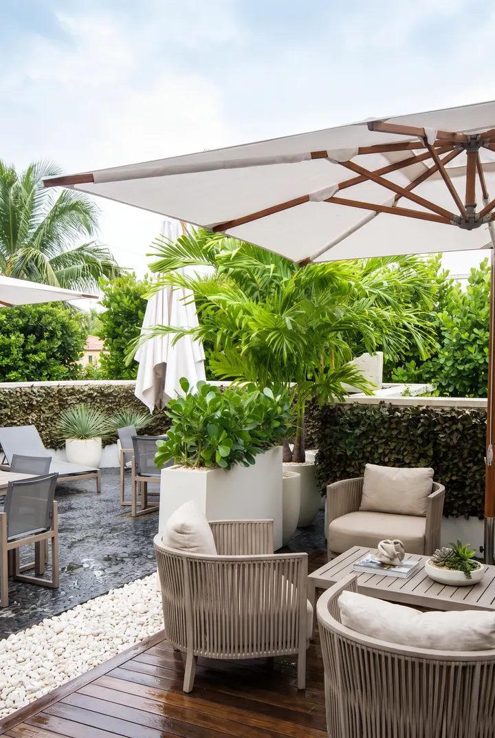 La terraza. Palmeras y plantas en jardineras entre las sombrillas.