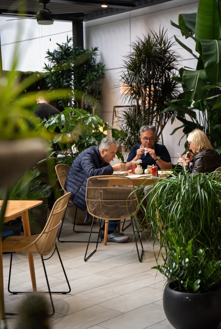 Una mesa entre plantas. Clientes del café sentados entre palmeras.