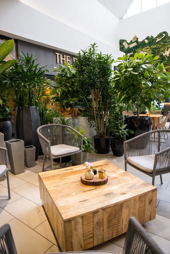 La terraza interior. Plantas grandes y una mesa de madera en el café.