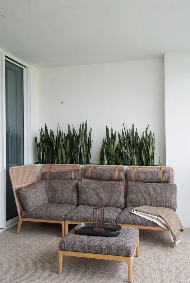 Sansevierias tras el sofá. Una jardinera de sansevierias detrás del sofá.