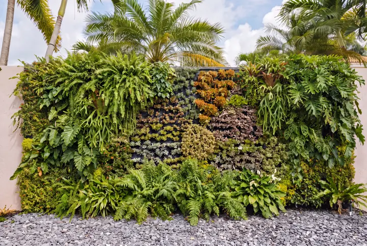 Un muro que es jardín. Un muro vegetal con mosaico de follajes.