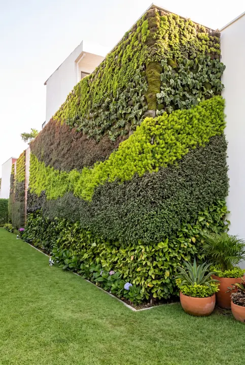 Verde en la esquina. Jardín vertical en bandas diagonales.