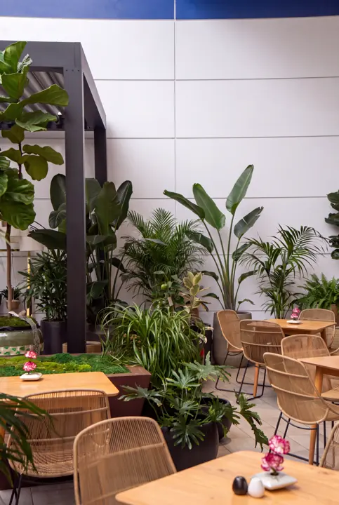 La terraza del café. Mesas entre plantas, árboles y musgo.