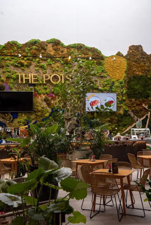 El café, de lejos. El muro, los árboles y la terraza del café.