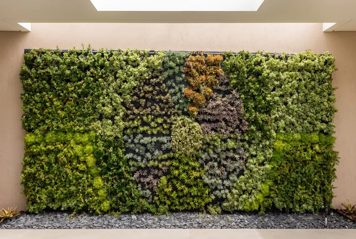 Un muro bajo la claraboya. Musgo preservado en mosaico de verdes y violetas.
