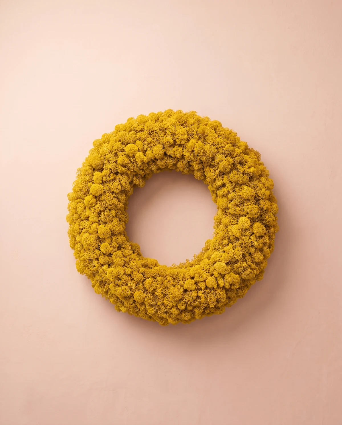 Una corona circular de pequeñas flores amarillas preservadas.